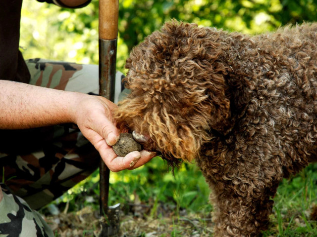 media.Slide-Territorio7-Le-Torri-Castiglione-Ferretto