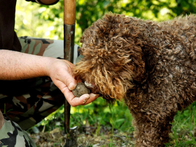 media.Slide-Territorio7-Le-Torri-Castiglione-Ferretto