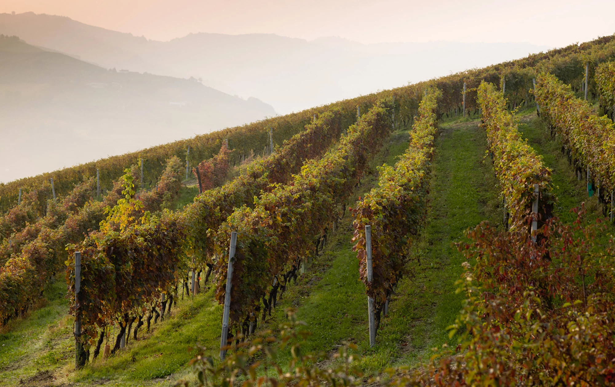 media.Slide-Territorio1-Le-Torri-Castiglione-Ferretto